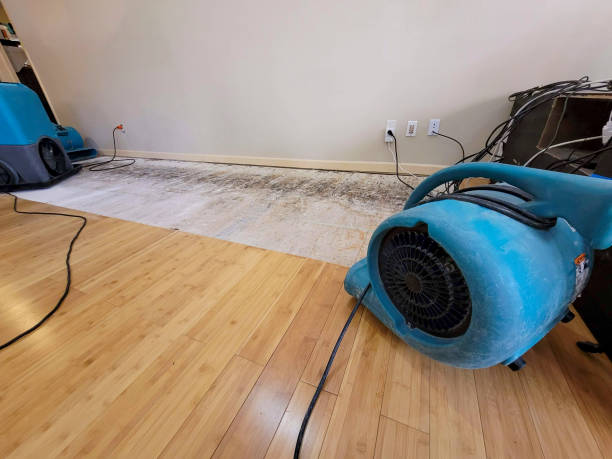 Professional Structural Drying technician working in Rockford, IL